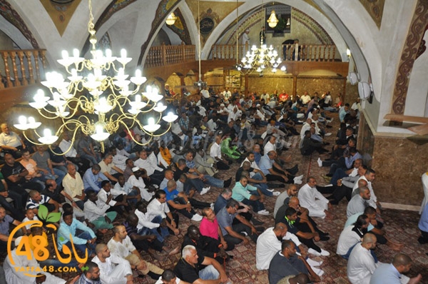 3ed ad7a ma7modiya (33).JPG